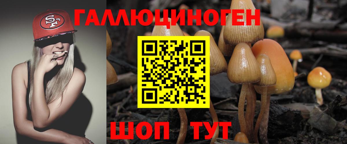 Псилоцибиновые грибы Magic Shrooms  Вход с VPN  Сергиев Посад 
